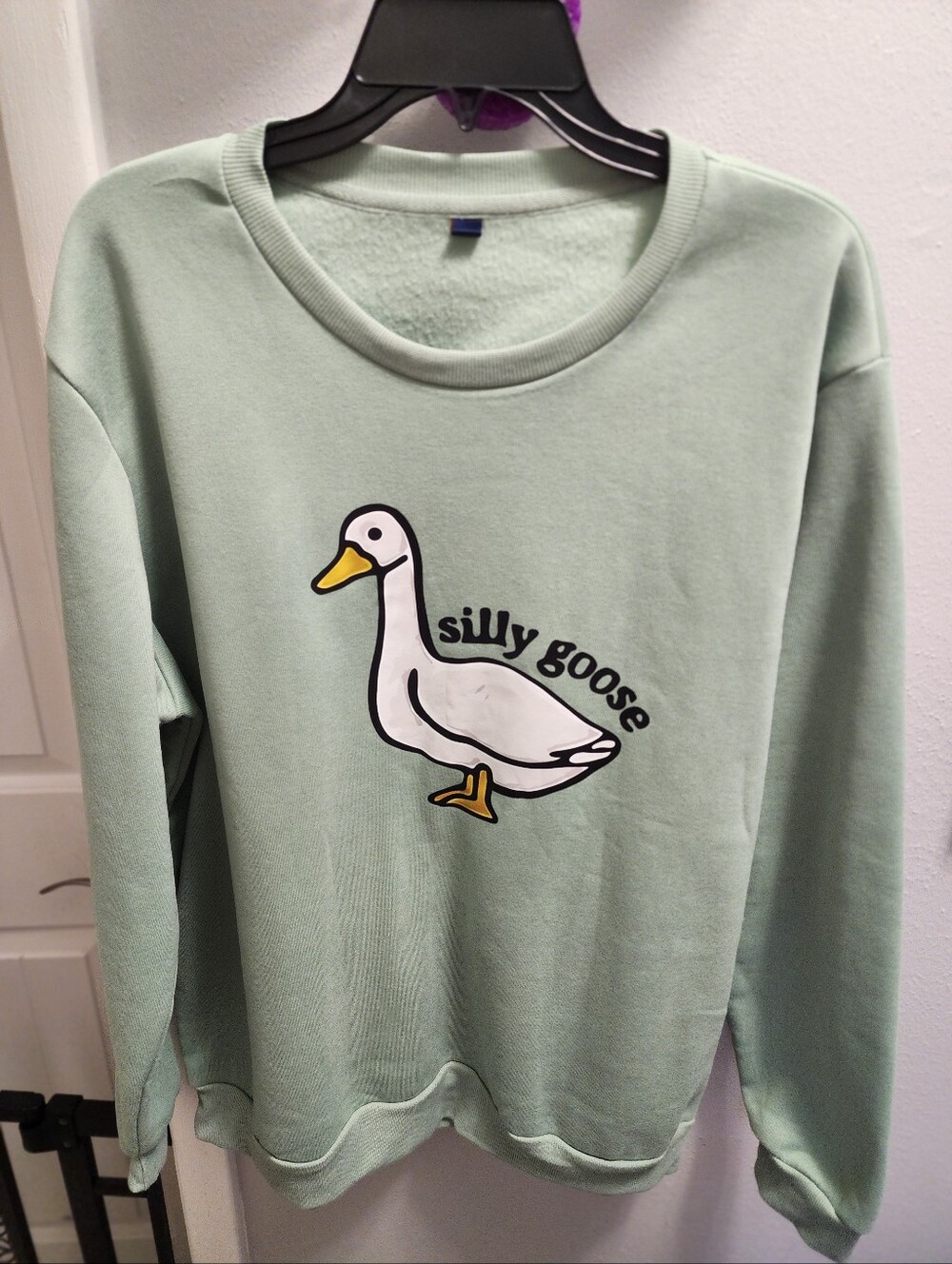 Mint Green Crewneck Sweatshirt with Playful Goose Graphic